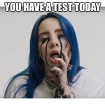 Billie Eilish crying | YOU HAVE A TEST TODAY | image tagged in billie eilish crying | made w/ Imgflip meme maker