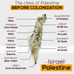 The state of Palestine meme