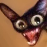 Kitty crashout