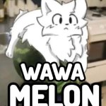 The Wawa Melon meme