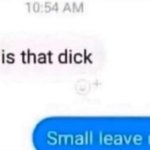 How big is that dick