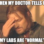 Perimenopausal Boromir | WHEN MY DOCTOR TELLS ME; MY LABS ARE "NORMAL" | image tagged in memes,frustrated boromir,perimenopause | made w/ Imgflip meme maker