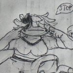 STOP meme