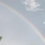 God's Promise To Never Flood Earth Again