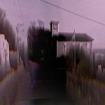 POV: A bird shits on the camera