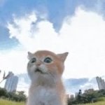 Cat Frollocking in Field GIF Template