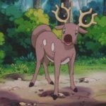 dumb deer