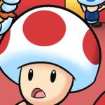 Toad