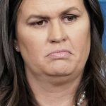 pig shit with a wig