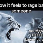 How it feels to rage bait someone | me triggering 10000000 karens by existing | image tagged in how it feels to rage bait someone | made w/ Imgflip meme maker