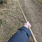 Great stick
