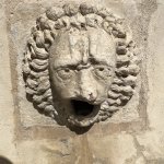 Pain lion