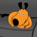 Orange Dog's Fun Fact