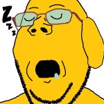 Sleeping janny Soyjak