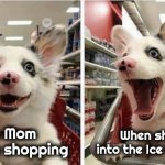 Vanilla Fudge ! | When she turns into the Ice Cream aisle; When Mom takes you shopping | image tagged in happy puppy,shopping,right place,right time,ice cream | made w/ Imgflip meme maker