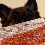 Charlie hungry