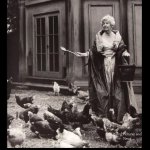 Chickens