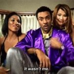 Shaggy - It Wasn't Me GIF Template