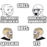 yes | GIRLS:; ITS OBVIOUSLY CERULEAN BLUE; NOOOO IS LIGHT AQUAMARINE!!! BOYS:; YES; SKY IS BLUE | image tagged in chad we know | made w/ Imgflip meme maker