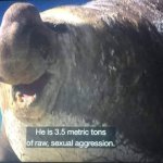 He is 3.5 metric tons of raw, sexual aggression