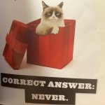 Correct answer: never meme