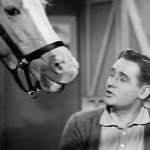 Mr Ed Knows It All