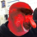 nerved nosacz