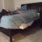 e.g.Party Parrot GIF Template