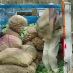 Escape from jail GIF Template