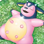 miltank
