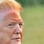 Trump meme