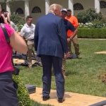 Cankles Trump template