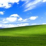 windows xp grass