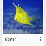 Iamboner face reveal meme
