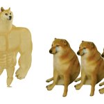 buff doge