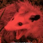 Screaming Possum | WHEN SOMEONE BARGES IN; WHILE YOU'RE SITTING ON THE TOILET | image tagged in screaming possum,toilet,barge in,sitting | made w/ Imgflip meme maker