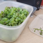 Grapes box