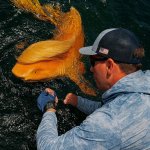 trump fish