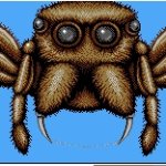 Simant spider meme