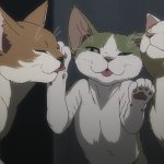 Anime cat