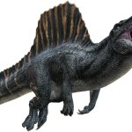 Spinosaurus 8 (JWR Design)