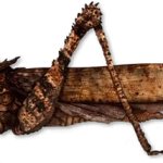 Giant Locust 2