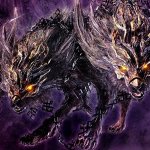 Evernight dog