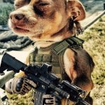 Security Contractor Dog | I GOT A NEW CHIHUAHUA AS A GUARD DOG; NAMED "CHICO" | image tagged in security contractor dog | made w/ Imgflip meme maker