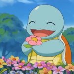 cute turtle