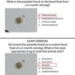 Poop test