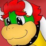 Bowser face