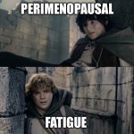 Perimenopause’s LOTR | PERIMENOPAUSAL; FATIGUE | image tagged in i can't do this sam lotr | made w/ Imgflip meme maker