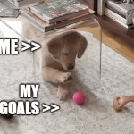 Dog-Eat-Dog World | ME >>; MY GOALS >> | image tagged in gifs,funny,dog,animals,meme | made w/ Imgflip video-to-gif maker