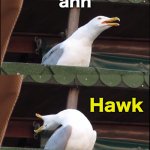 Already been done 100 times? | ahh; Hawk; TUah! | image tagged in memes,inhaling seagull | made w/ Imgflip meme maker